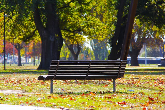a-bench-in-a-park